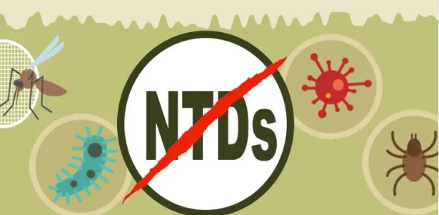 Nigeria 15 others rank highest in ntds globally report - nigeria newspapers online