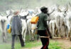 bdabed fulani herdsmen