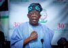 db tinubu