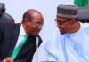 deec emefiele and buhari