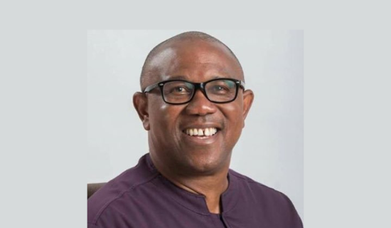 Obi sweeps enugu in presidential election - nigeria newspapers online