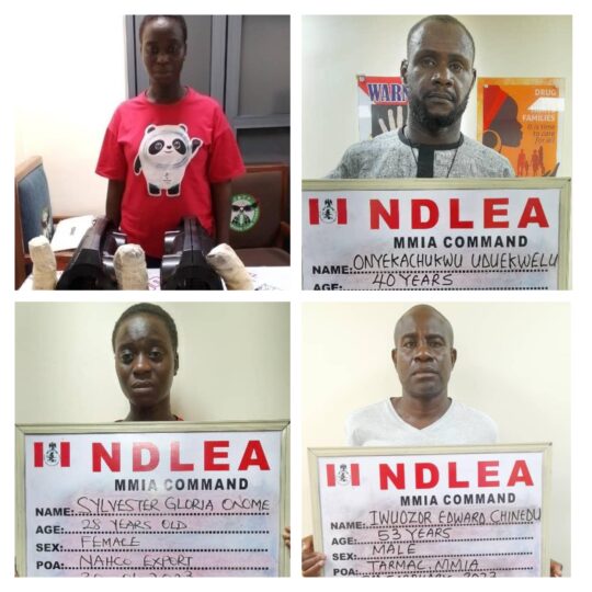 Ndlea seizes europe bound cocaine heroin others smashes drug cartel pregnant woman nigeria newspapers online