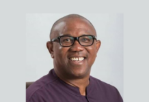 a labour party presidential candidate peter obi