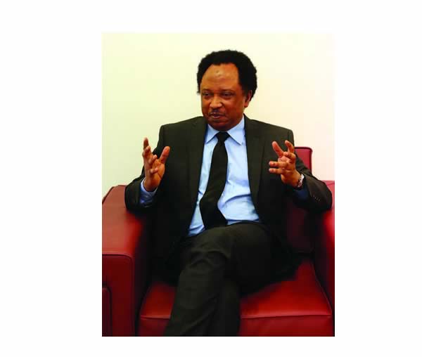 Shehu sani explains reason behind apc family war - nigeria newspapers online