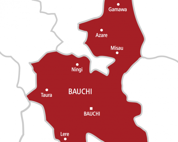 Three die in bauchi auto crash - nigeria newspapers online