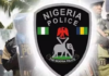 aefbc police npf logo emblem.fw e