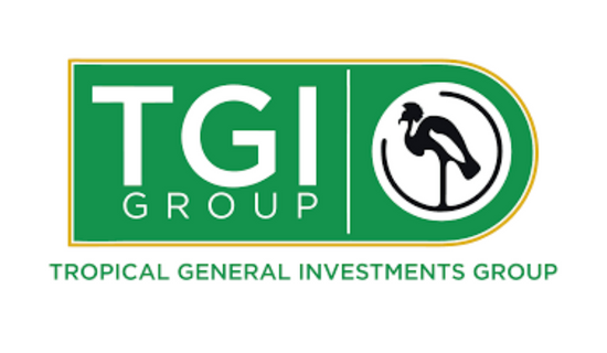 TGI Group, caterers collaborate on Terra jollof cube