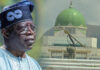 cadac bola tinubu