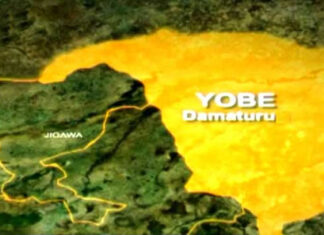 bcd yobe state map