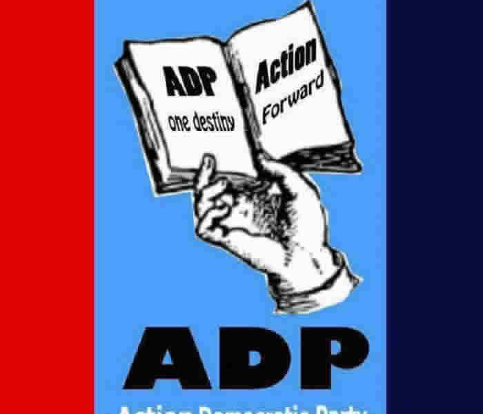 Adp overrules kaduna chair on suspension of gov candidate - nigeria newspapers online