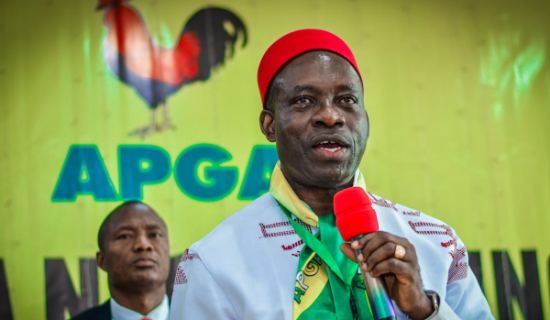 Soludo begs residents to vote apga in state assembly poll - nigeria newspapers online