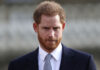 ababdb prince harry