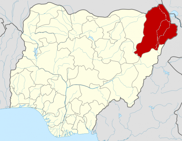 Suspected boko haram terrorists kill 29 fishermen in borno - nigeria newspapers online