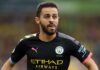 dae bernardo silva manchester city yksmjftsnfthkkvk x