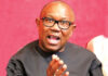 fd peter obi