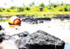 df ogoni clean up