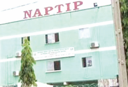 Naptip sacks director four officers for misconduct - nigeria newspapers online