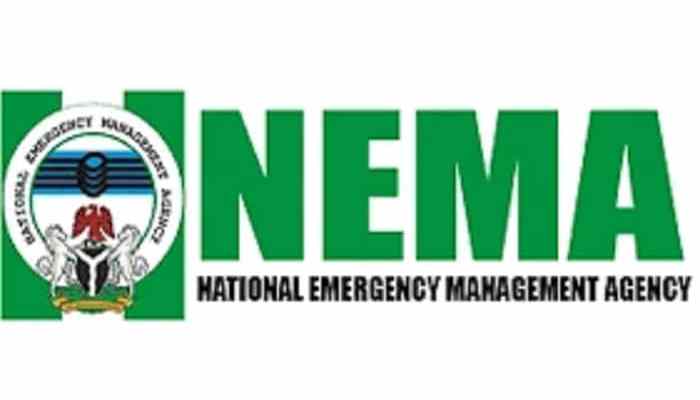 Nema receives 148 stranded nigerians from niger republic - nigeria newspapers online