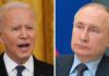 d putin and biden x