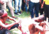 ccee mob attack in ikorodu