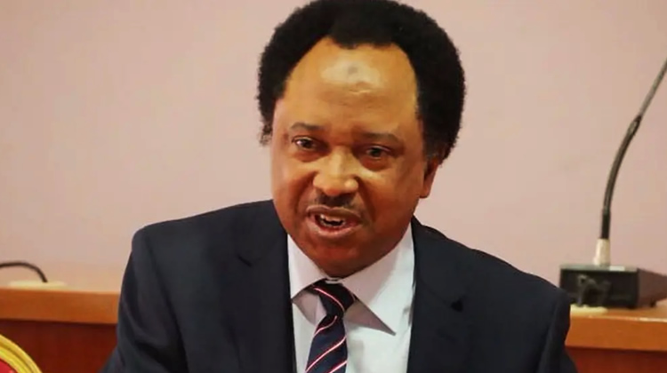 Dont give subsidy funds savings to governors shehu sani tells tinubu nigeria newspapers online