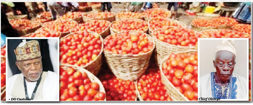 Consumers traders lament as tomato pepper scarcity hits markets - nigeria newspapers online