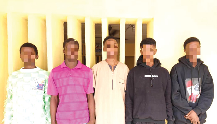 Five suspects nabbed during cult initiation in lagos hotel - nigeria newspapers online