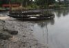 NIGERIA OIL ENVIRONMENT POLLUTION