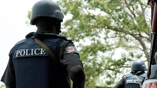 No going back on withdrawal of cops from vips police nigeria newspapers online