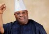 abecddb senator adeleke