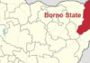 fec borno state