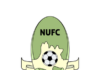 bafdb nasarawa united logo