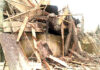 ccdcff collapsed building