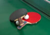 fedf table tennis