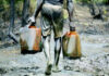 fd oil theft