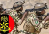 adf nigerian army