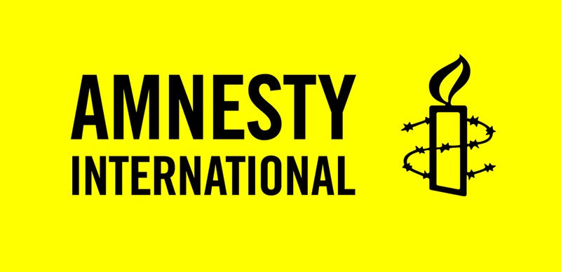 Address rising cases of missing people amnesty urges fg - nigeria newspapers online