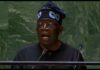 cf tinubu at unga x