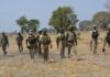 nigerian troops hunt for terrorists x
