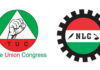 cfed tuc and nlc logos