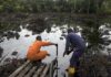 dbc a shell worker at an oil spill site