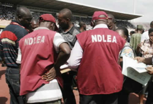 Wheelchair bound drug dealer ex convict others arrested by ndlea nigeria newspapers online