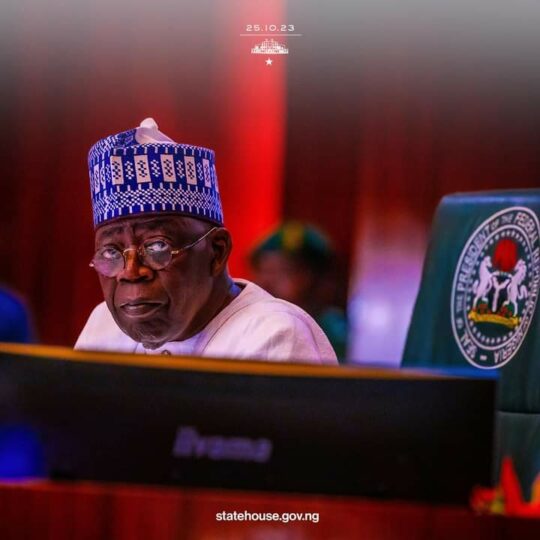 President tinubu has capacity to fix nigerias economy apc chieftain nigeria newspapers online