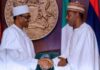 cd buhari and zulum e