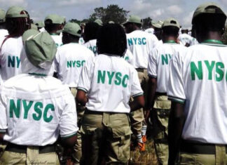 ab nysc