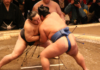 efc sumo