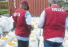 fffa ndlea officers