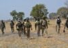 fcd nigerian troops hunt for terrorists x