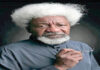 fbc wole soyinka