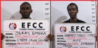 cce efcc x